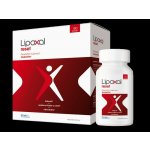 Lipoxal Reset 180 tablet – Hledejceny.cz