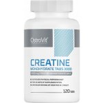 Ostrovit Creatine monohydrate 3000 120 tablet – Hledejceny.cz