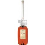 Jacopo Poli Brandy Arzente 10y 40% 0,5 l (karton) – Zboží Dáma