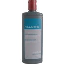 Alveus ALLSHINE čistící prostředek na dřezy 250 ml