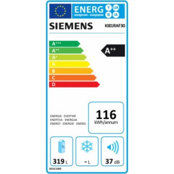 Siemens KI 81 RAF30