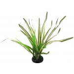 Repti planet Rostlina sukulent Agave zelená 18 cm – Zbozi.Blesk.cz