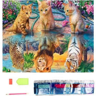 Norimpex Diamantové malování Kočičí sny 30 x 40 cm – Hledejceny.cz