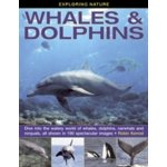 Exploring Nature: Whales & Dolphins Kerrod RobinPevná vazba – Hledejceny.cz