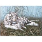 Malování podle čísel Bílý tygr s mládětem – Zbozi.Blesk.cz
