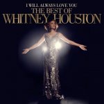 Houston Whitney - I Will Always You The best Of Whitney Houston 2 Vinyl LP – Sleviste.cz