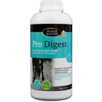 HORSE MASTER Pro Digest 1 l – Hledejceny.cz