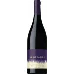 Louis Jadot Resonance Resonance Vineyard Pinot Noir 2018 Červené 13.5% 0.75 l (holá láhev) – Hledejceny.cz