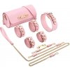 SM, BDSM, fetiš Kiotos BDSM Deluxe 5 Item Kit Pink