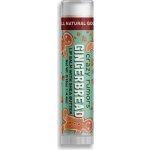 Crazy Rumors Balzám na rty Gingerbread 4 2 g – Zboží Dáma