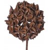 Květina 'Sušený' anýz imitace, dekorativní koule umělá Ø 10cm, hnědá, na stonku 70cm