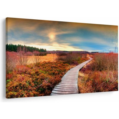 Obraz - Podzimní cesta krajinou, jednodílný 120x80 cm – Hledejceny.cz