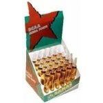 Sanas BCAA Megaforte 750 ml – Hledejceny.cz