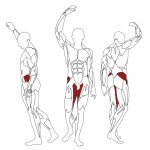 BH Fitness L250 Abduction/Adduction – Zboží Mobilmania