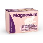 Rosen Magnesium perlivé pastilky 300 mg 20 ks – Hledejceny.cz