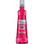 Puschkin Red 17,5% 1 l (holá láhev) – Hledejceny.cz