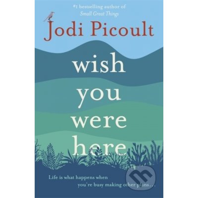 Wish You Were Here - Picoultová Jodi