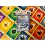 Ultra Pro Pokémon TCG Frosted Forest obaly 65 ks – Zbozi.Blesk.cz