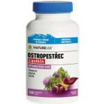 BIOVIT NatureVia Ostropestřec LipoAktiv 120 kapslí – Hledejceny.cz