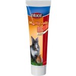 Trixie sladová pasta Multifruit 100 g – Hledejceny.cz