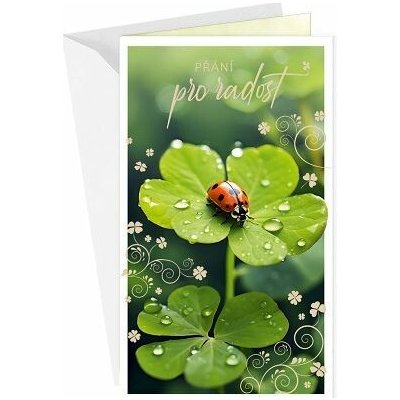 ARGUS Přání k narozeninám nebo k svátku 55-608c – Zboží Dáma