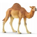 Schleich 14832 Wild Life Dromedary – Hledejceny.cz