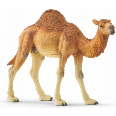 Schleich 14832 Wild Life Dromedary – Zboží Mobilmania