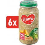 Hami Brokolice s krůtou a cuketou 6 x 250 g – Zboží Dáma
