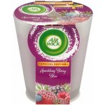 Air Wick Essential Oils zimní ovoce 220 g – Zbozi.Blesk.cz