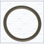 16022400 AJUSA Těsnění, koleno sacího potrubí | Zboží Auto