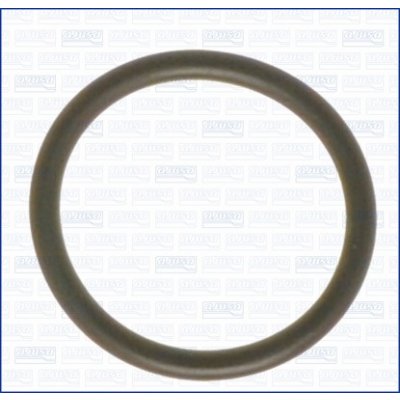 16022400 AJUSA Těsnění, koleno sacího potrubí | Zboží Auto