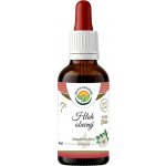 Salvia Paradise Hloh obecný AF tinktura 30 ml – Hledejceny.cz