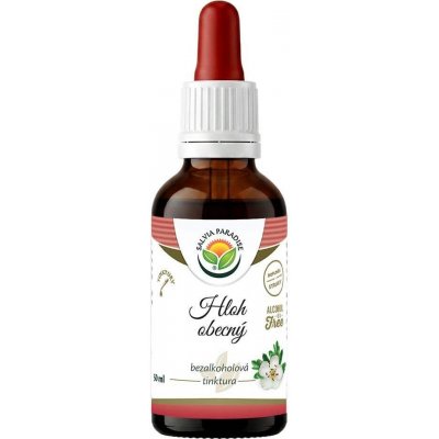 Salvia Paradise Hloh obecný AF tinktura 30 ml – Hledejceny.cz
