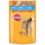 Pedigree Junior kuřecí 100 g – Sleviste.cz