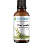Bioherba Borovicové výhonky tinktúra kvapky 50 ml – Hledejceny.cz