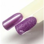 NL nails professional GLITTER POWDER – Hledejceny.cz