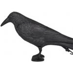 Bradas CTRL-BR101 Havran plastová 3D maketa na plašení ptáků – Zboží Dáma