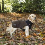 Scruffs termo obleček pro psa. – Zboží Mobilmania