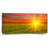 Obraz Sablio Obraz Západ slunce nad loukou - 110x50 cm