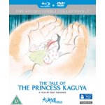 Tale of the Princess Kaguya BD – Hledejceny.cz