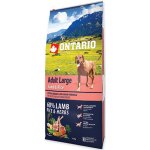 Ontario Adult Large Lamb & Rice 20 kg – Sleviste.cz