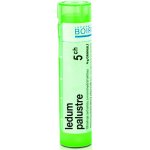 LEDUM PALUSTRE POR 30CH GRA 1X4G – Hledejceny.cz