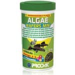 Prodac Algae Wafers Mini 250 ml – Sleviste.cz