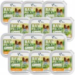 Vetexpert Raw Paleo Adult Mini Pate turkey 12 x 150 g – Sleviste.cz