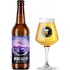 Pivo Pivovar Bizon Space ALE Summer ALE 11° 0,5 l (sklo)