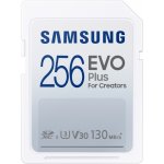 Samsung Class 10 SDHC 256 GB MB-SC256K/EU – Sleviste.cz