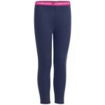 Icebreaker Kids Compass Leggings – Zboží Dáma