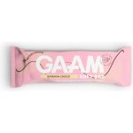 GAAM Proteinová Tyčinka 45 g – Hledejceny.cz
