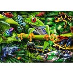 RAVENSBURGER Úžasní obojživelníci 35 dílků – Hledejceny.cz