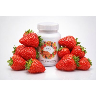 Dr. Rhaco Kaše pro pagekony Jahoda/červený banán 100 g – HobbyKompas.cz